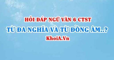 Từ đa nghĩa và từ đồng âm là gì? ví dụ từ đa nghĩa và từ đồng âm? Ngữ văn lớp 6 CTST